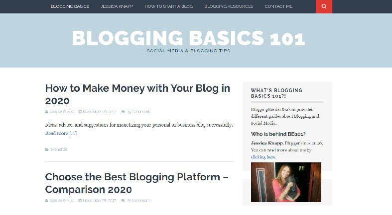 bloggingbasics101-com