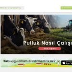 pulluk-com