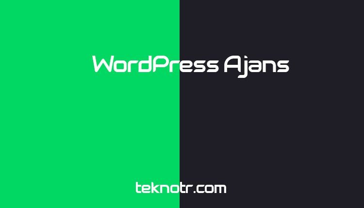 wordpress-ajans