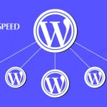 4 Milyon WordPress sitesi LiteSpeed eklentisindeki açıktan etkilendi. Güncelleme yayınlandı!