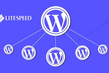 4 Milyon WordPress sitesi LiteSpeed eklentisindeki açıktan etkilendi. Güncelleme yayınlandı!