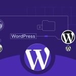 WordPress Sürümleri