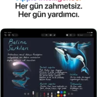 format_webp (4)